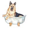 il fullxfull.4108106999 o7wn - German Shepherd Gifts