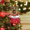 il fullxfull.5460330373 7cgf - German Shepherd Gifts