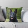 throwpillowsmall1000x bgf8f8f8 c020010001000 5 - German Shepherd Gifts